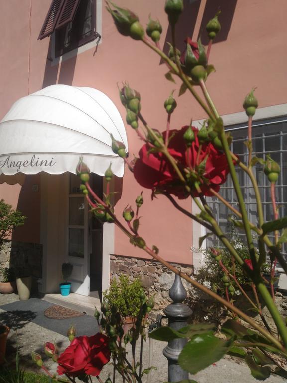 Angelini Dal 1911 Hotel Lucca Luaran gambar